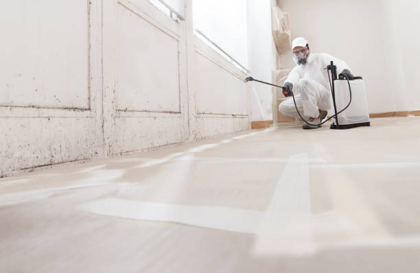 24/7 Emergency Attic Mold Remediation experts in Brookline, MA
